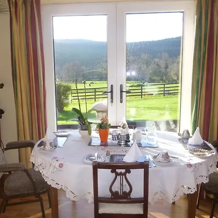 Coolalingo Oda ve Kahvaltı 4*