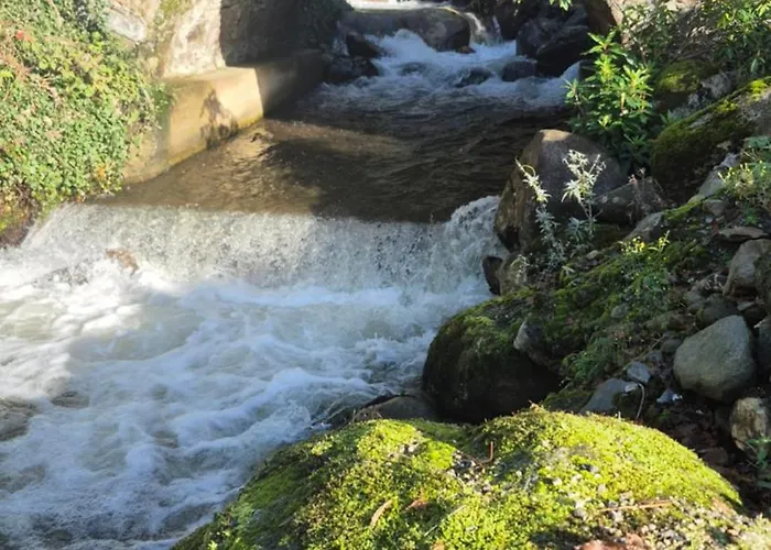 Coolalingo Отель типа 